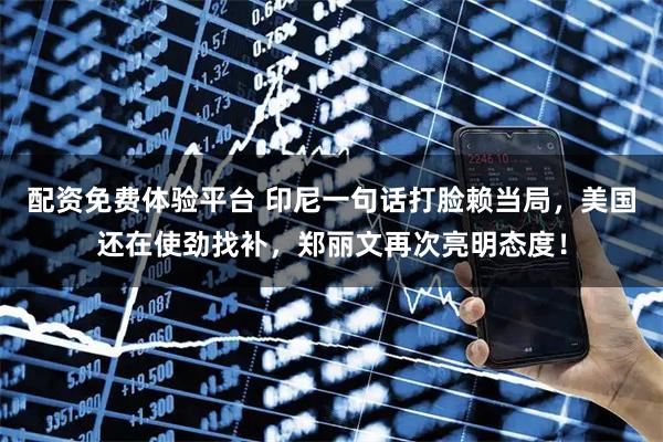配资免费体验平台 印尼一句话打脸赖当局，美国还在使劲找补，郑丽文再次亮明态度！